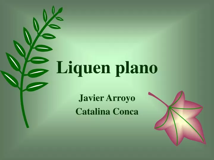 liquen plano