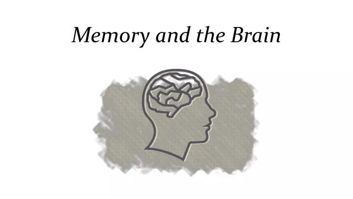 memory and the brain