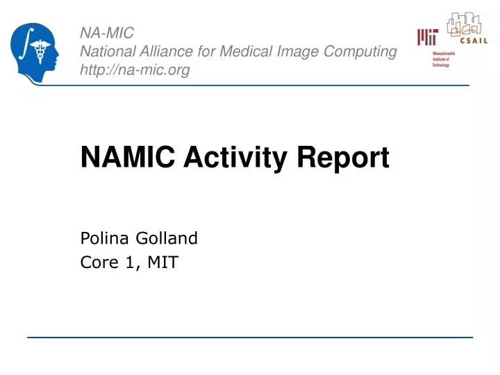 namic activity report