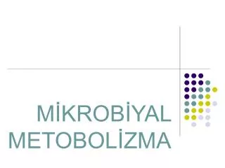 m krob yal metobol zma
