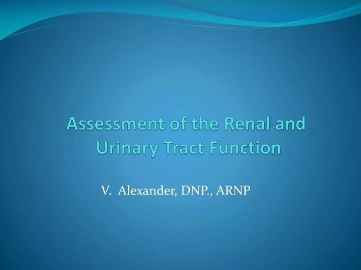 assessment of the renal and urinary tract function