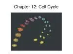 Chapter 12: Cell Cycle - slide 1