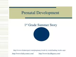 Prenatal Development