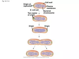 Fig. 12-11-4