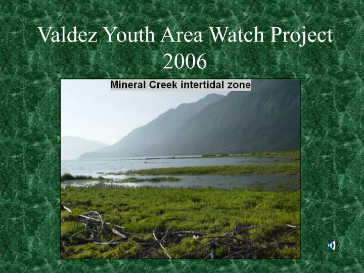 valdez youth area watch project 2006