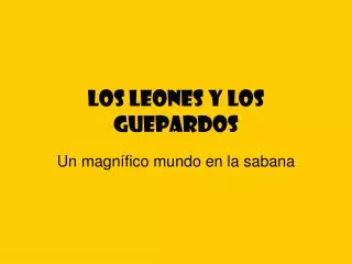 los leones y los guepardos