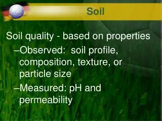 Soil