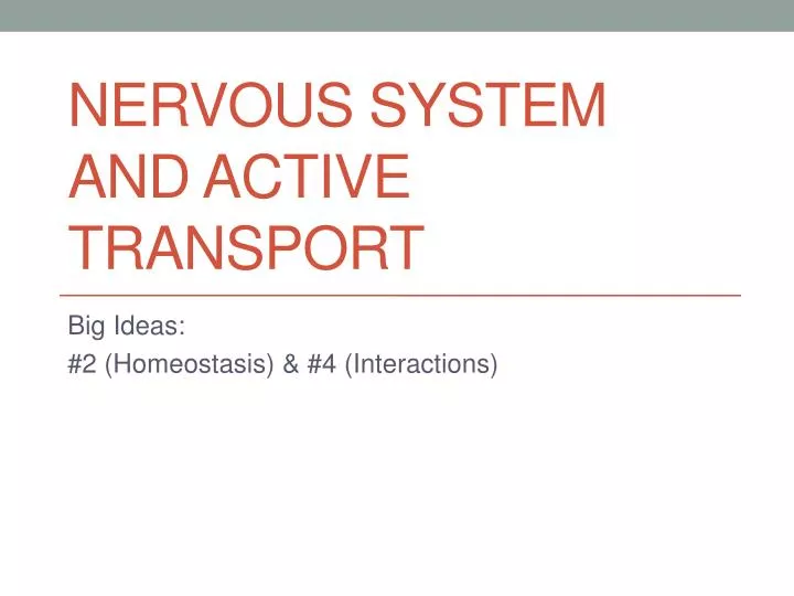 nervous system and active transport