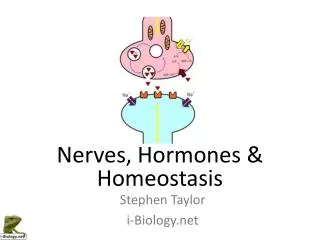 Nerves, Hormones &amp; Homeostasis