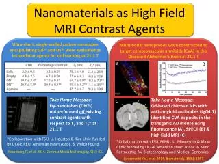 Nanomaterials as High Field MRI Contrast Agents