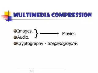 MultiMedia Compression