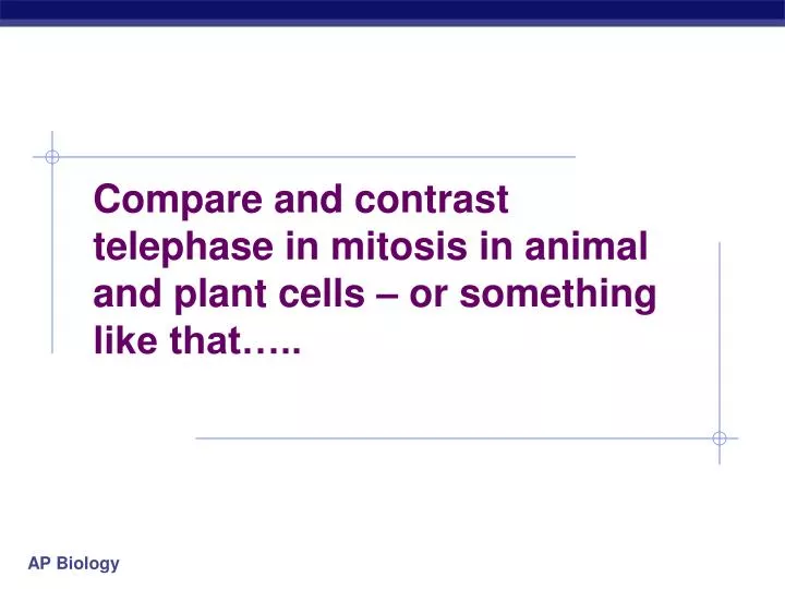 compare and contrast telephase in mitosis in animal and plant cells or something like that