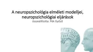 a neuropszichol gia elm leti modelljei neuropszichol giai elj r sok ssze ll totta p k gy z