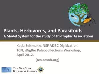 Plants, Herbivores, and Parasitoids A Model System for the study of Tri-Trophic Associations
