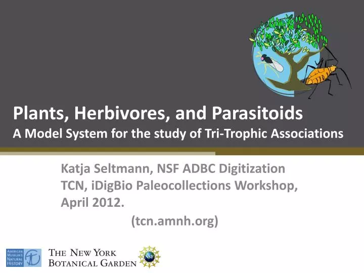 plants herbivores and parasitoids a model system for the study of tri trophic associations