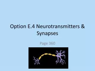 Option E.4 Neurotransmitters &amp; Synapses