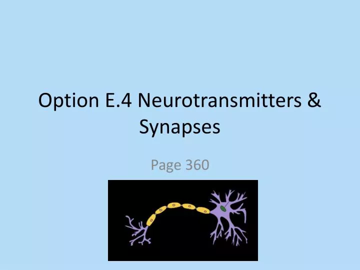 option e 4 neurotransmitters synapses