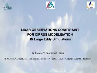 LIDAR OBSERVATIONS CONSTRAINT FOR CIRRUS MODELISATION IN Large Eddy Simulations