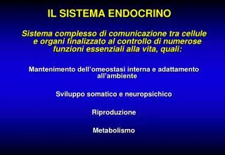il sistema endocrino