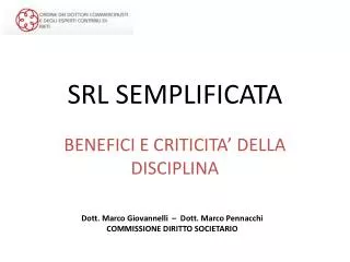 srl semplificata