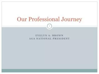 Our Professional Journey