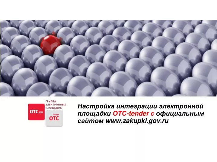 tender www zakupki gov ru