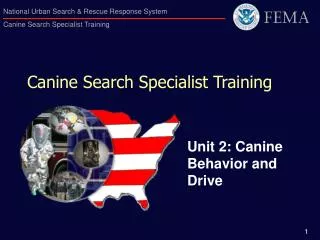 Canine Search Specialist Training