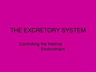 THE EXCRETORY SYSTEM