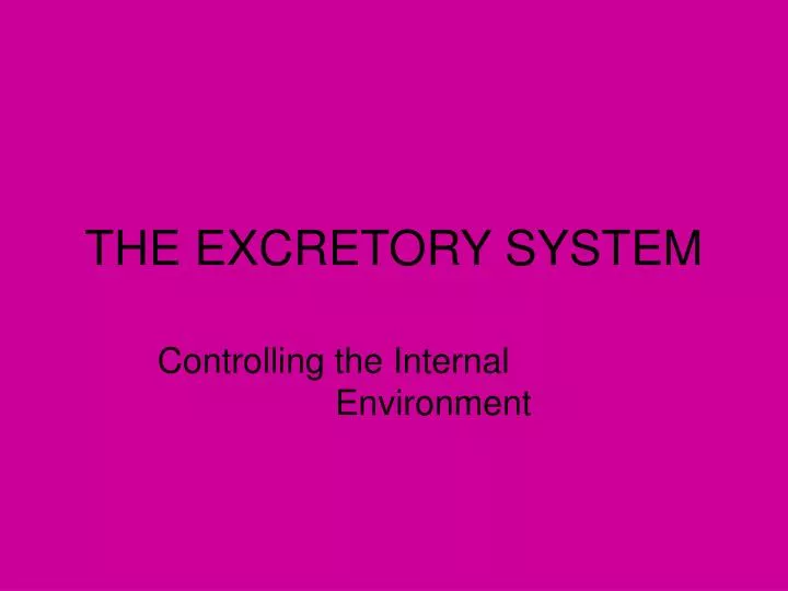 the excretory system