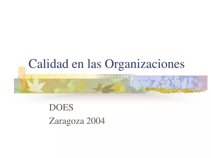 calidad en las organizaciones