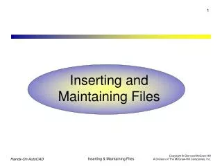 Inserting and Maintaining Files