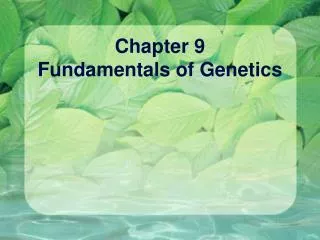 Chapter 9 Fundamentals of Genetics