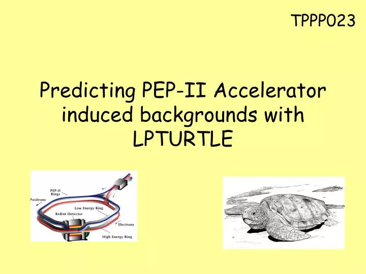 predicting pep ii accelerator induced backgrounds with lpturtle