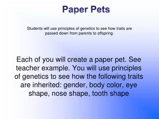 Paper Pets