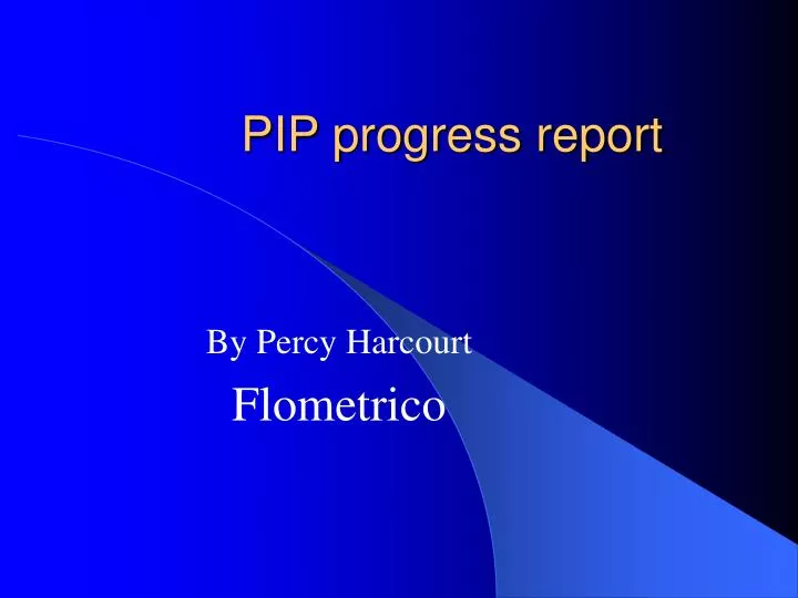 pip progress report