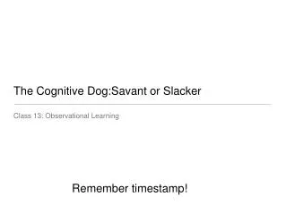 The Cognitive Dog:Savant or Slacker