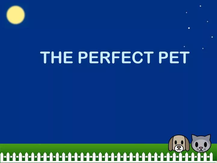 the perfect pet