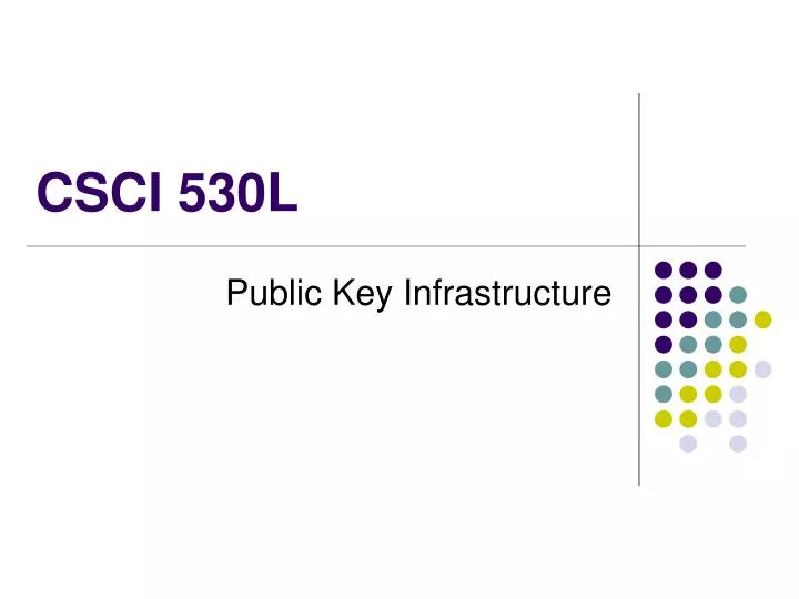 csci 530l