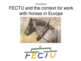 Pit Schlechter FECTU and the context for work with horses in Europe