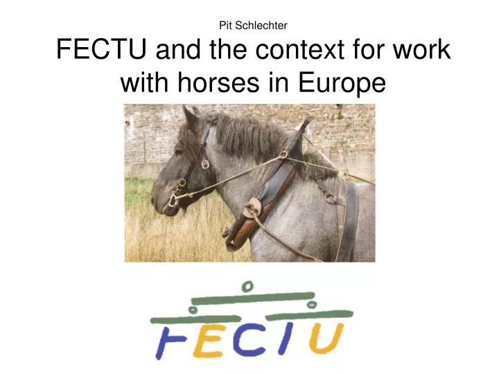 pit schlechter fectu and the context for work with horses in europe