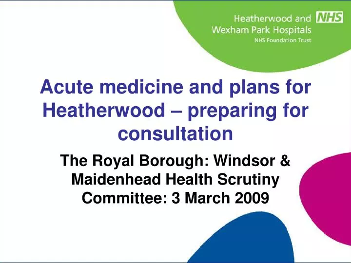 the royal borough windsor maidenhead health scrutiny committee 3 march 2009