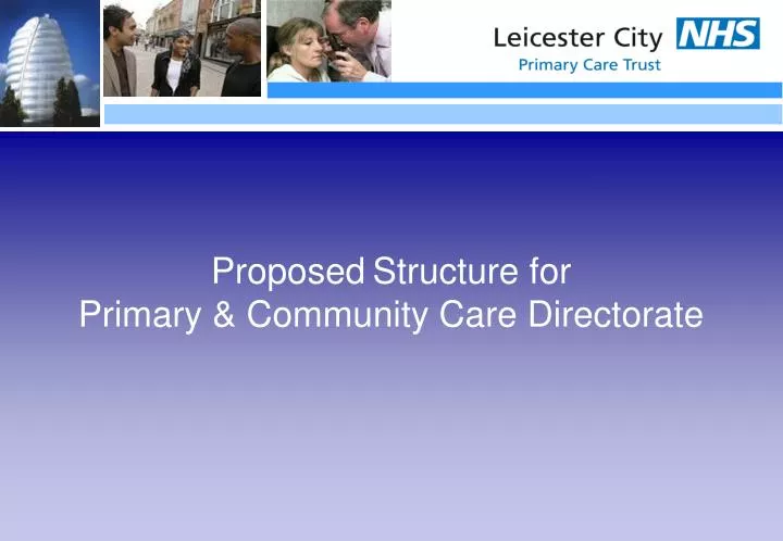 proposed structure for primary community care directorate