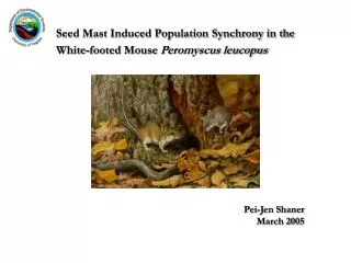 Seed Mast Induced Population Synchrony in the White-footed Mouse Peromyscus leucopus