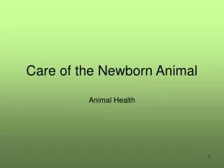 Care of the Newborn Animal