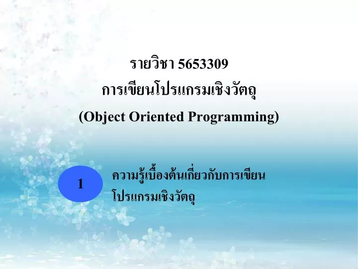 5653309 object oriented programming