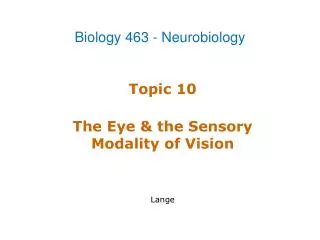 Topic 10 The Eye &amp; the Sensory Modality of Vision Lange