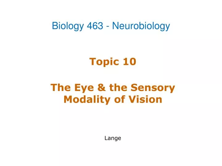 topic 10 the eye the sensory modality of vision lange
