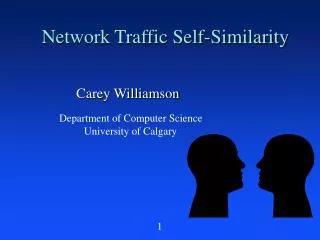 Network Traffic Self-Similarity