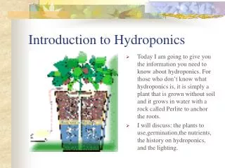 Introduction to Hydroponics