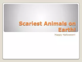 Scariest Animals on Earth!